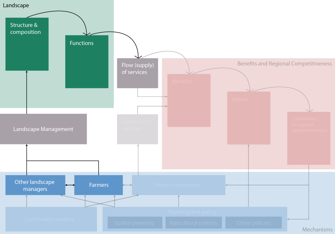 Landscape management and services