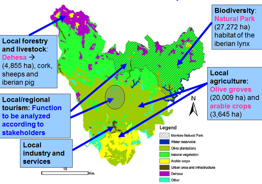 Beneficiaries of the landscape functions.