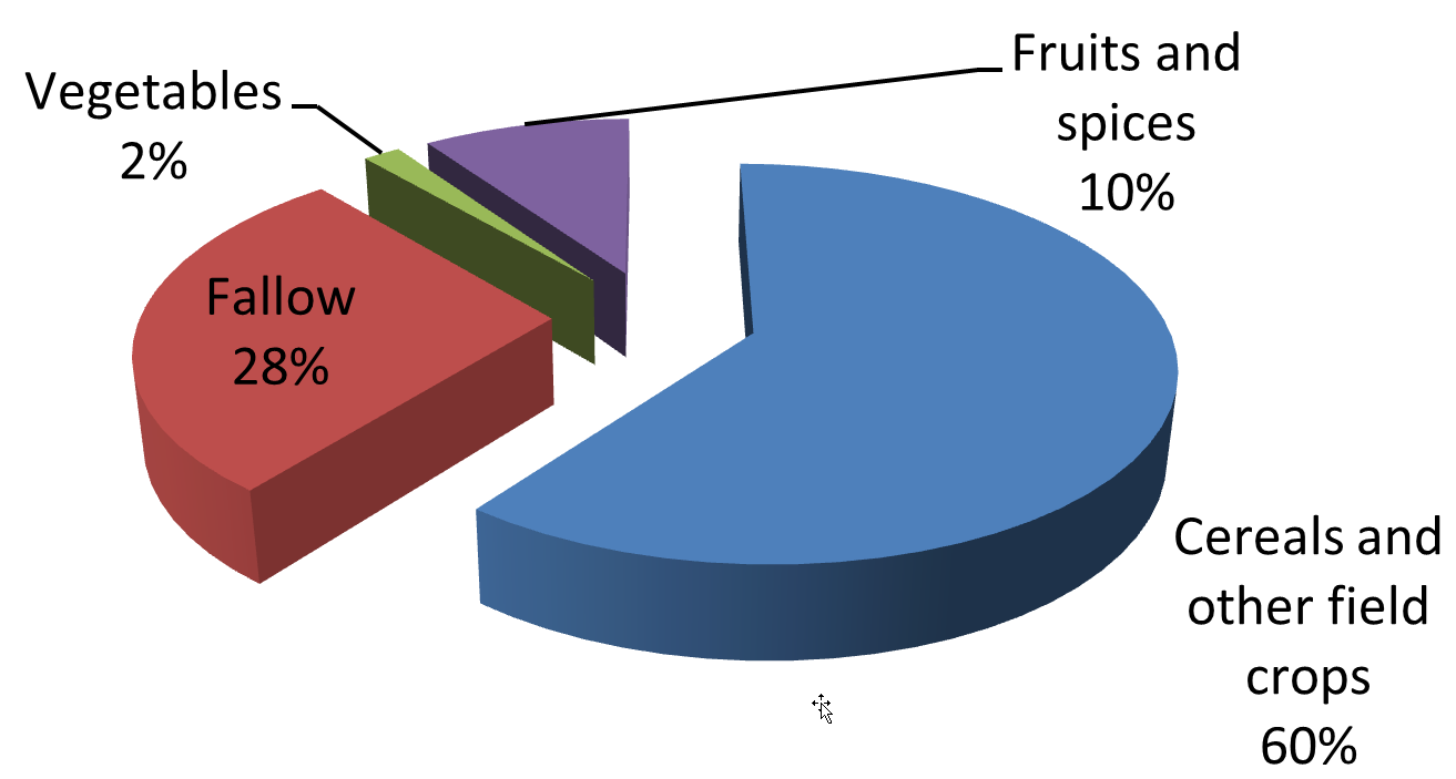 Figure 2. Arable lands by crops in the case study area.