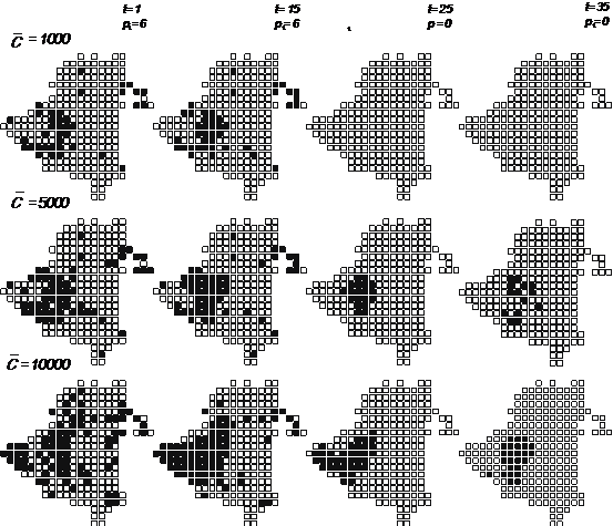 Figure 2. Spatial configuration of green farms (in black) and conventional farms (in grey) for selected times, and three level of consumer population. C = consumer population level; p = agri-environmental payment level; t = time.