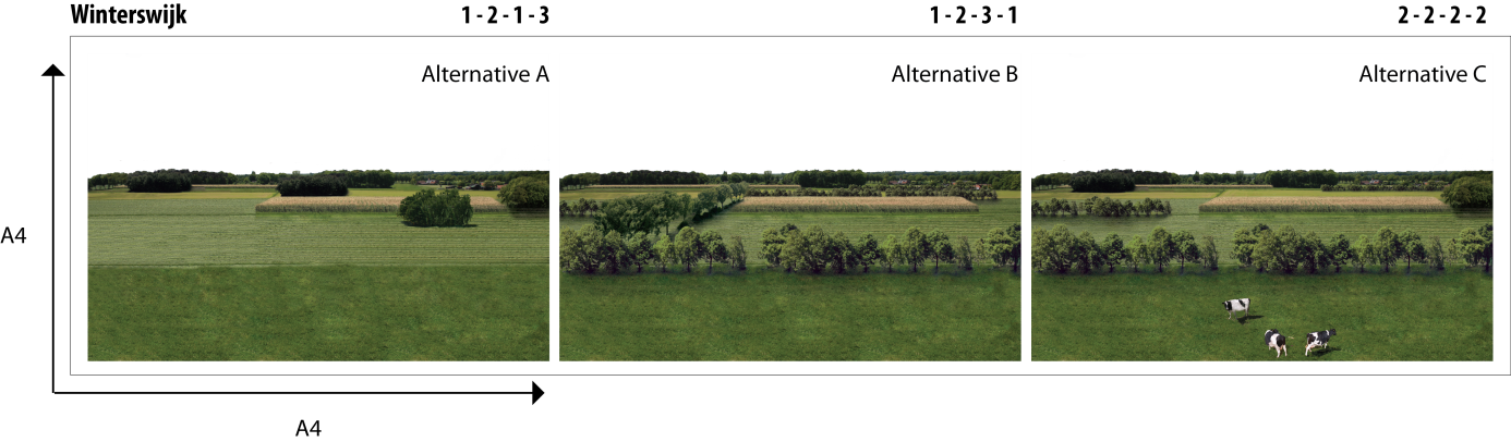 Figure 2. example of a choice card presented to the respondents.