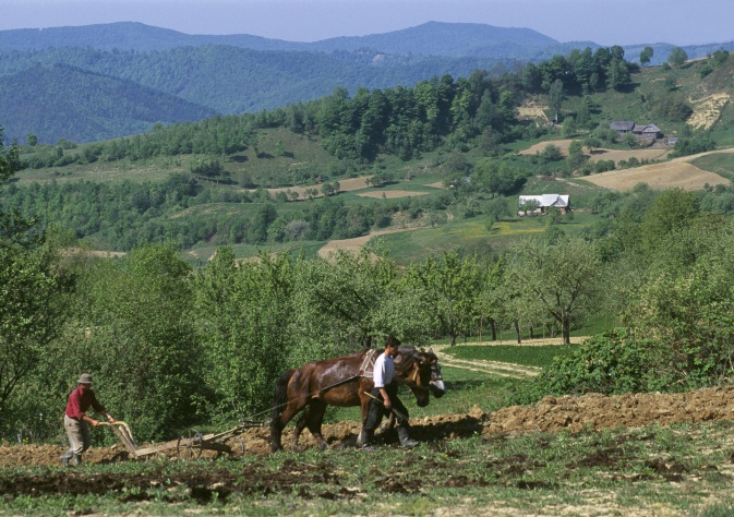 Illustration: Support to less favoured area - Farmers preparing the field in the hills above Nepos, Romania